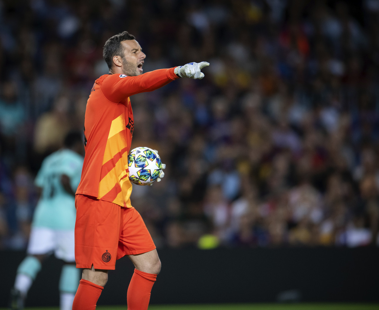 三冠四年 三冠四年