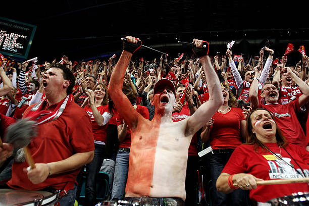 可能选择马 可能选择马