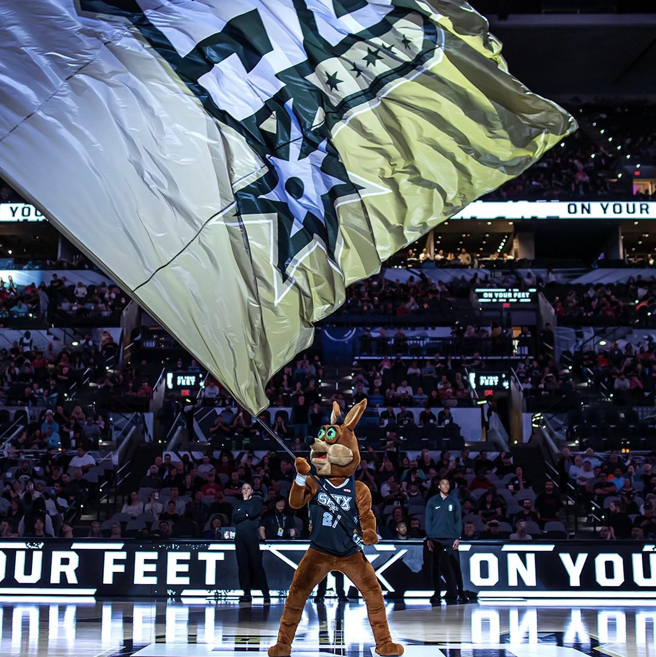 尤其第三节 尤其第三节